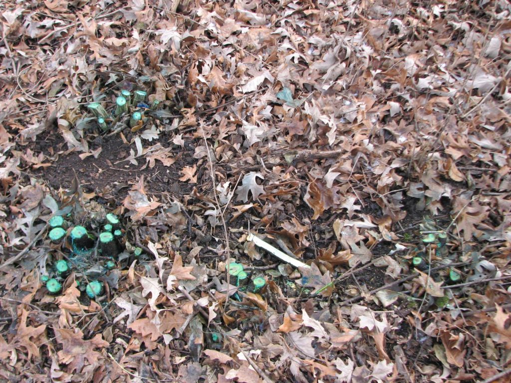 Spring Creek On&nbsp;1/14/2023