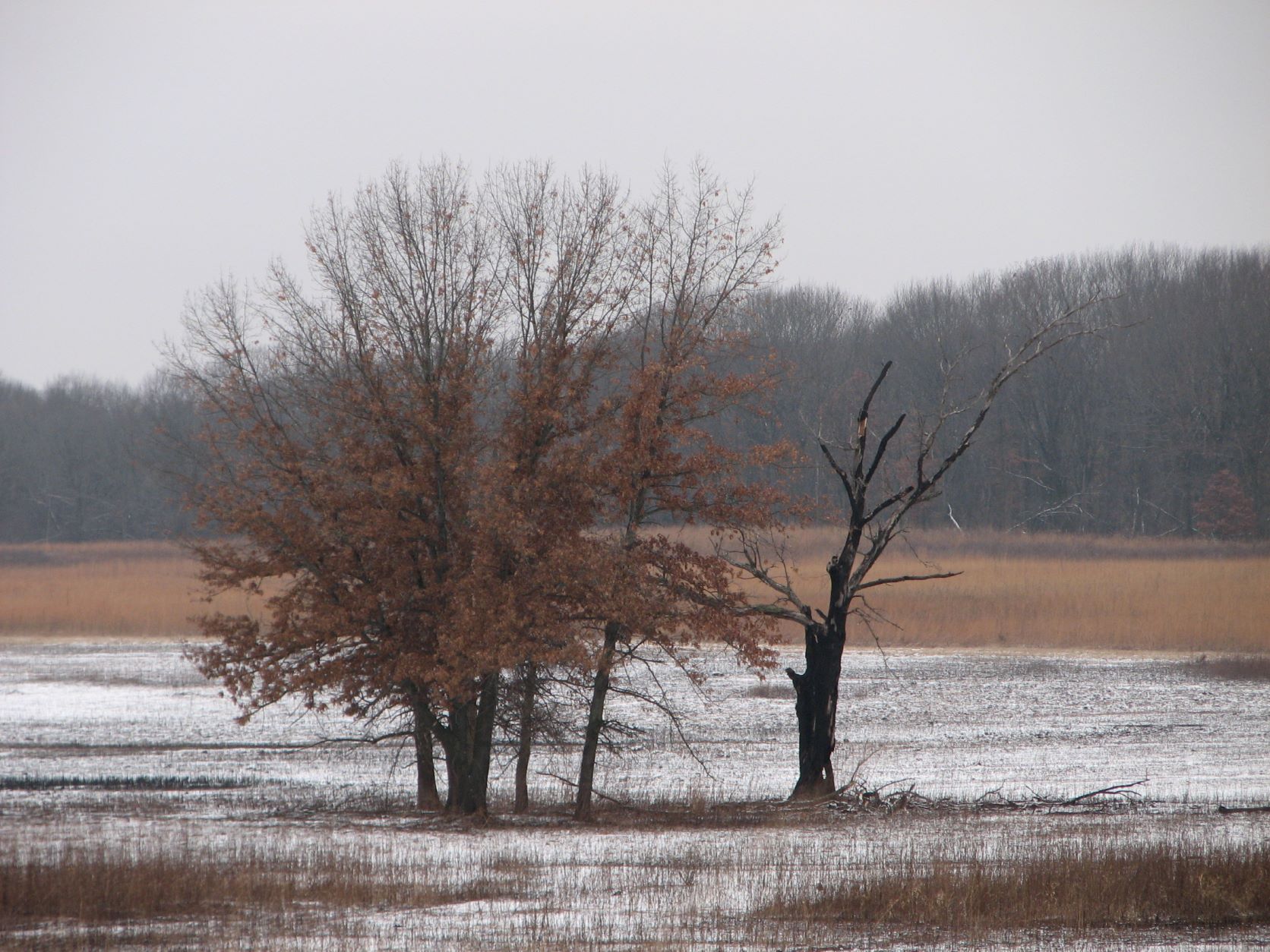 Stewardship Chronicles