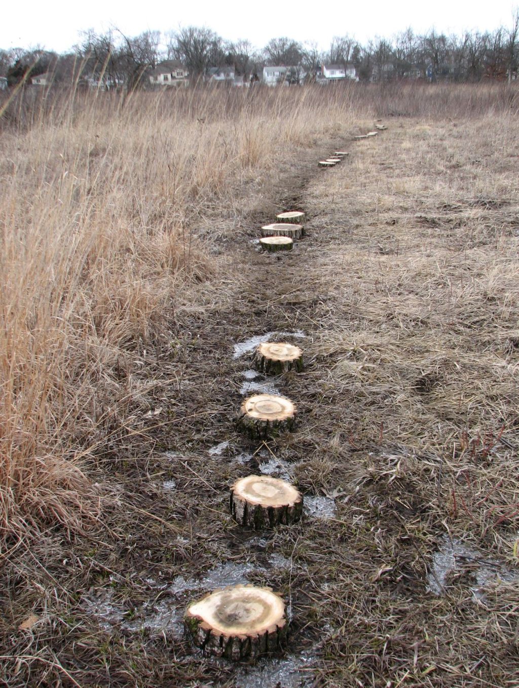 Watersmeet Woods 3/18/2023
