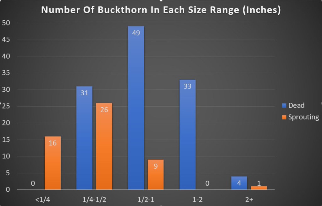 Bluff Spring Fen Preliminary Results