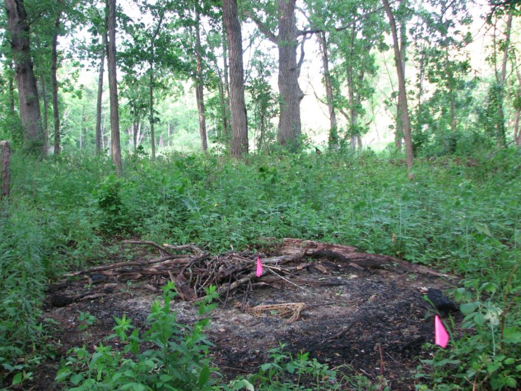 Deer Grove Preliminary&nbsp;Results