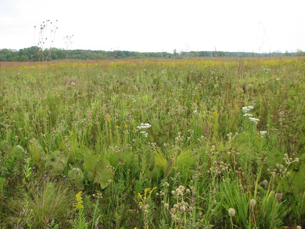 Spring Creek, the 160, 8/16/2023 and&nbsp;8/17/2023