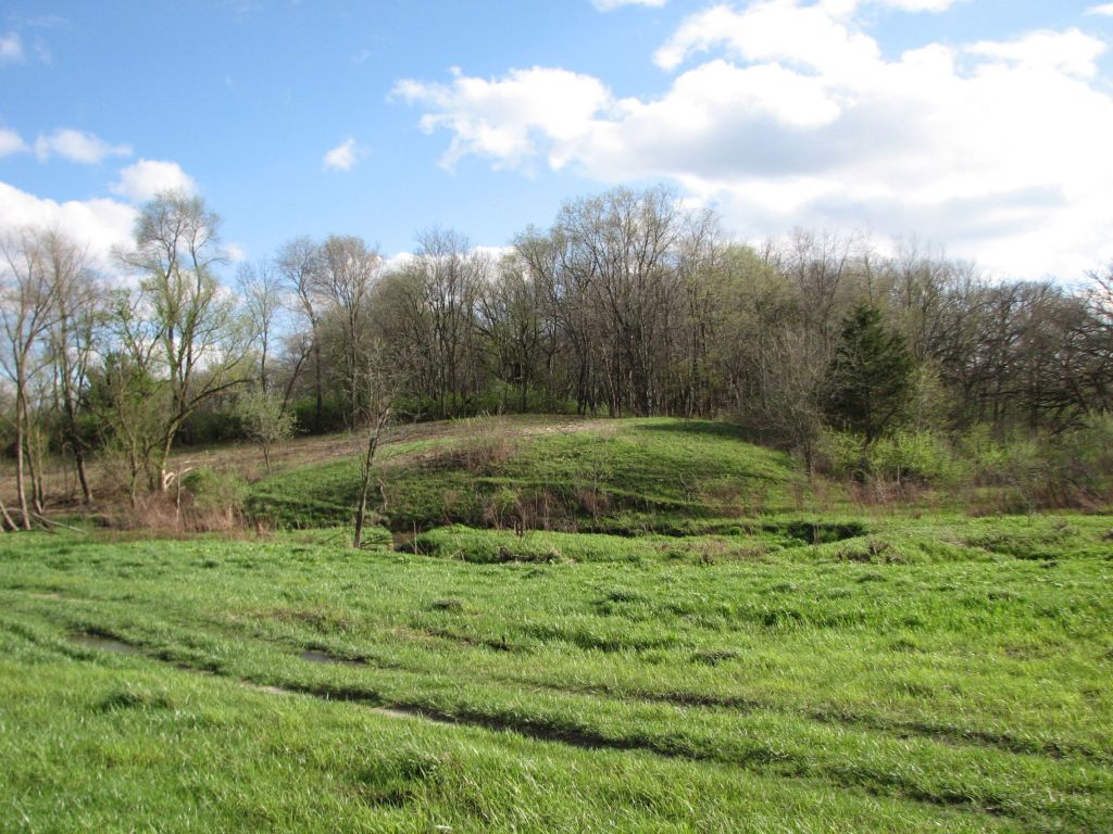 Big Jump and Orland Tract at The Nature Conservancy’s Nachusa Grasslands – A Comparison Post Five Years Following Woody Invasive Species Control